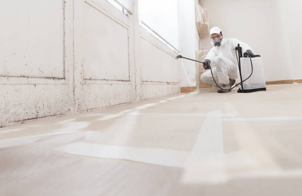 24/7 Emergency Mold Removal experts in Dublin, GA